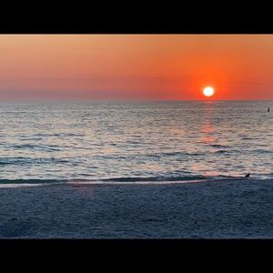 Meet your Posher, Rafaela